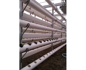 蔬菜景觀無土栽培系統(tǒng)11