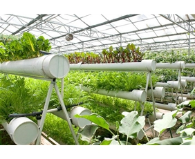 蔬菜景觀無土栽培系統(tǒng)09