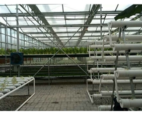 蔬菜景觀無土栽培系統(tǒng)05